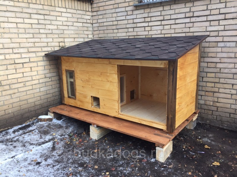 Зимний домик для кошки на улице, особенности конструкции