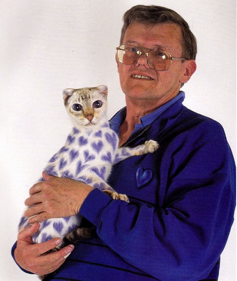 Крашеные кошки