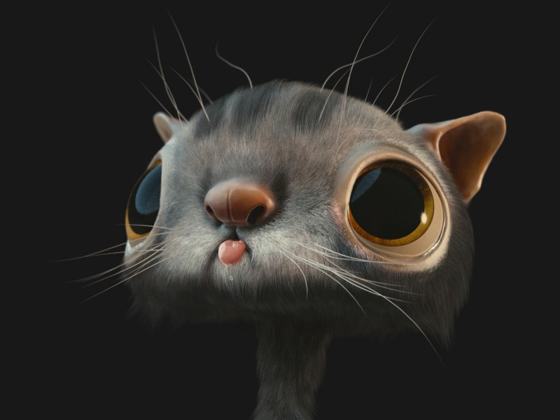 Большие смешные глаза у кота
