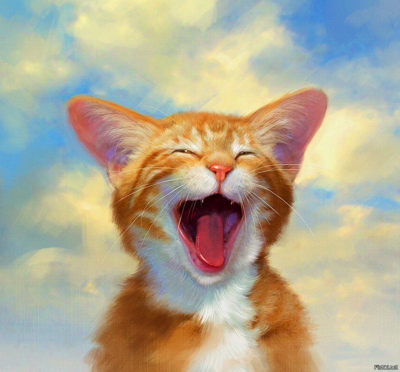 Котик ржет