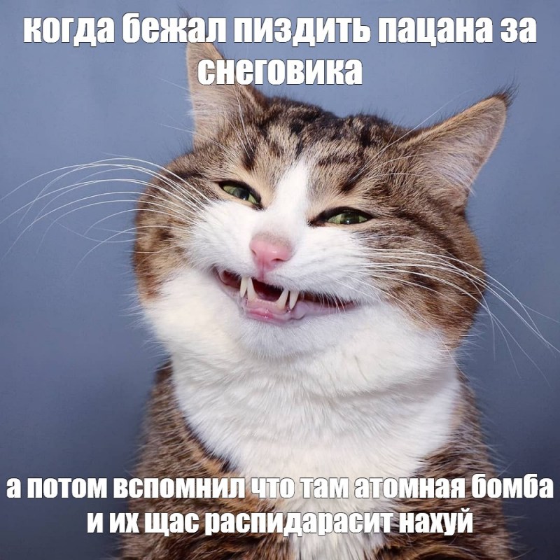 Лопну от смеха