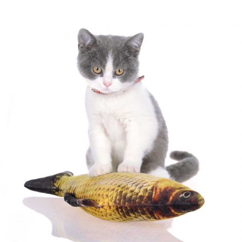 Плавающие рыбки для кошек - картинки и фото koshka.top
