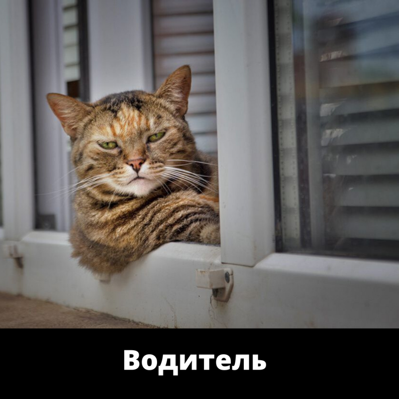 Сало печали