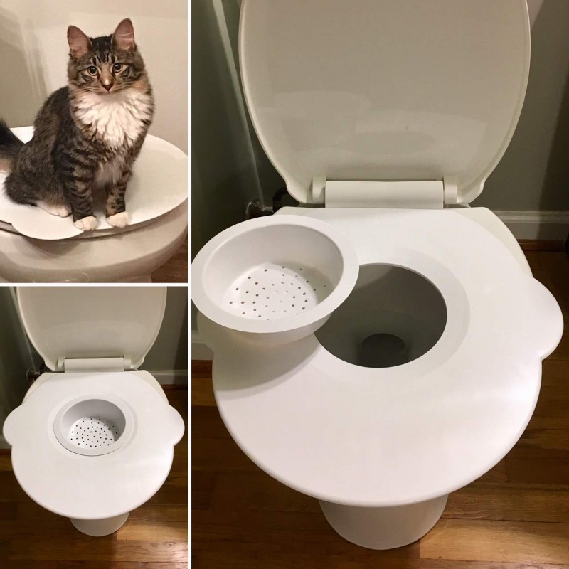 Как приучить кота к унитазу в домашних условиях фото
