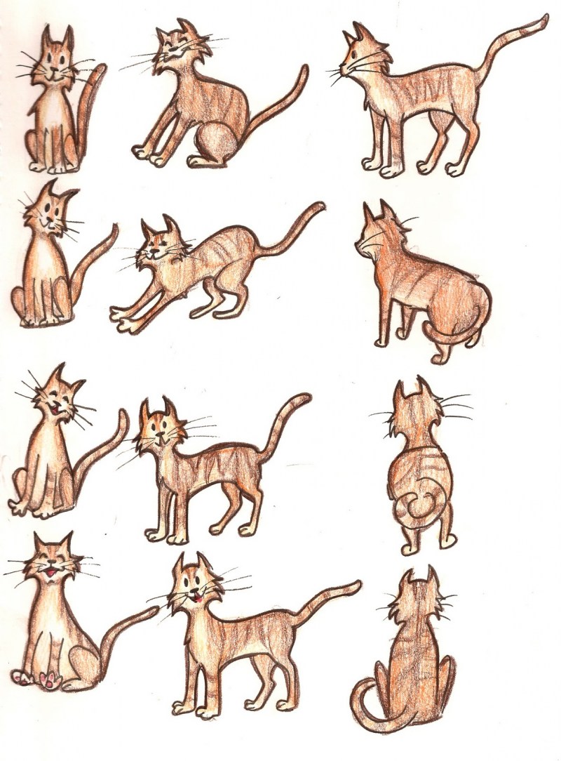 Кошки в разных позах