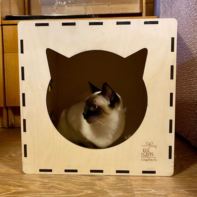Кошка из картона