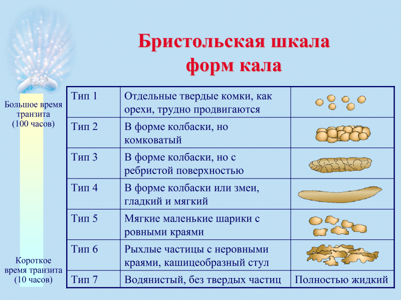 Кашицеобразный стул у кота