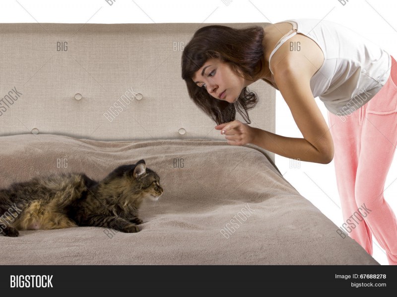 Девушка ругает кота