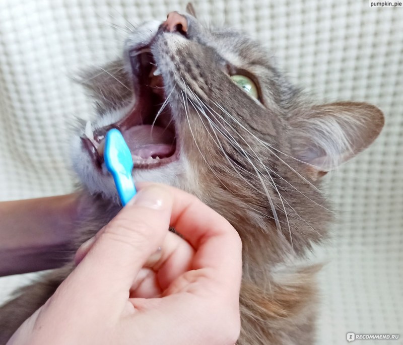 Зубная паста для собак Pet Toothpaste
