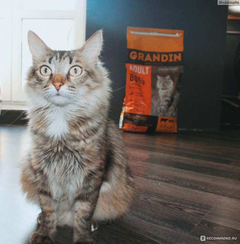 Грандин для кошек от линяния