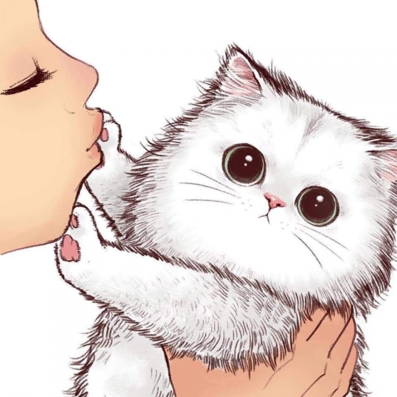Кот мультяшный милый