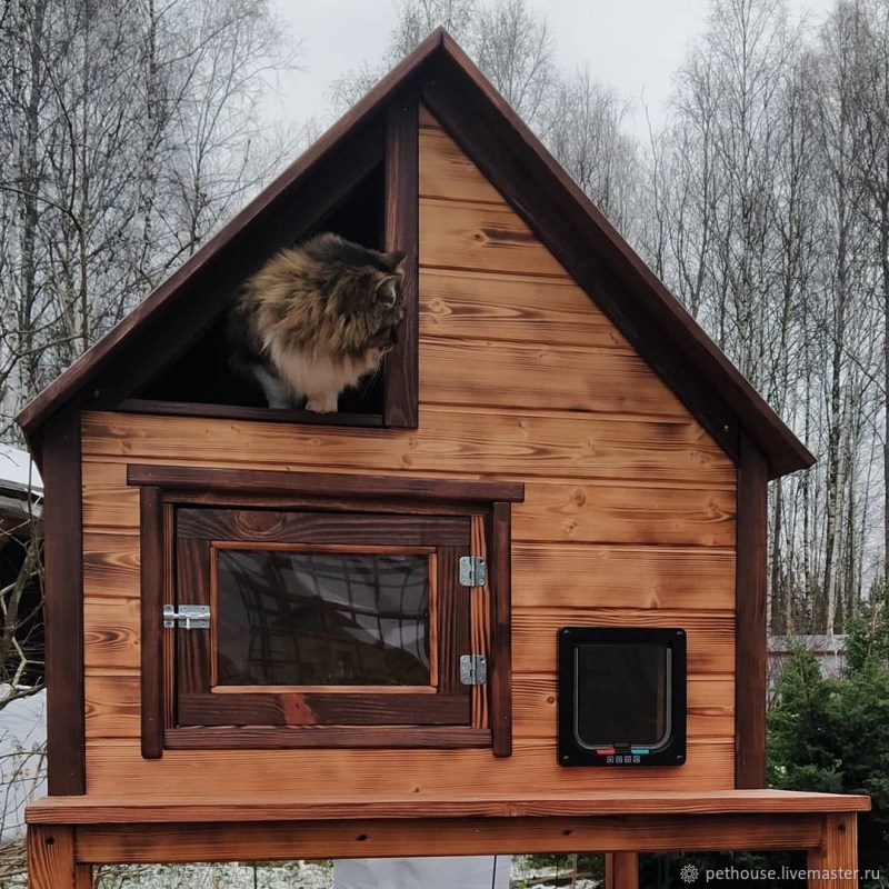 Котенок на кровати
