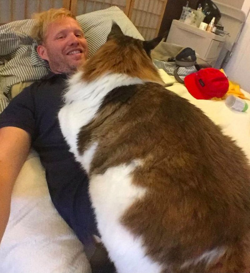 Кот Самсон Мейн кун
