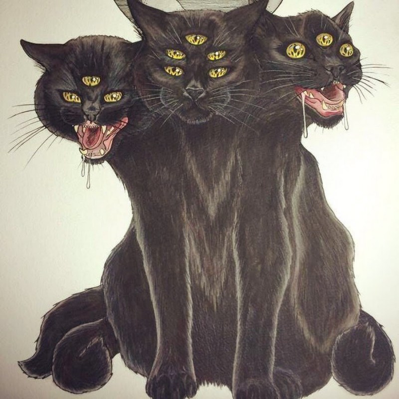 Трехголовая кошка