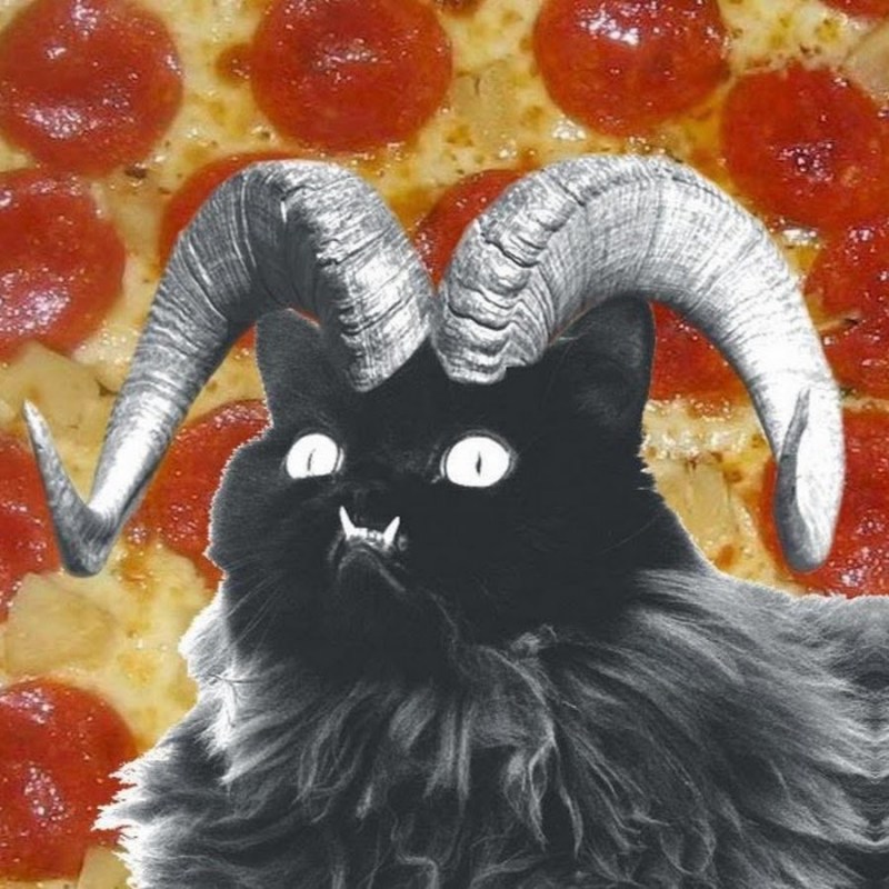 Кот с рогами