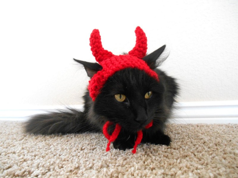 Котенок с рожками