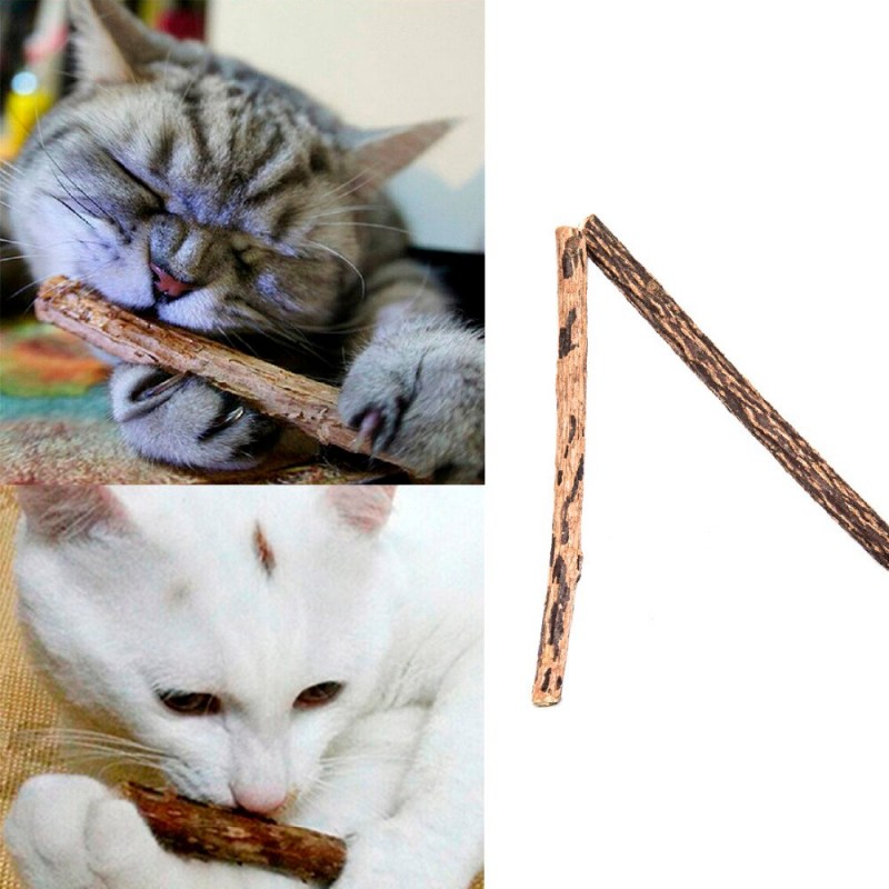 Зубочистки в горшке от кошки
