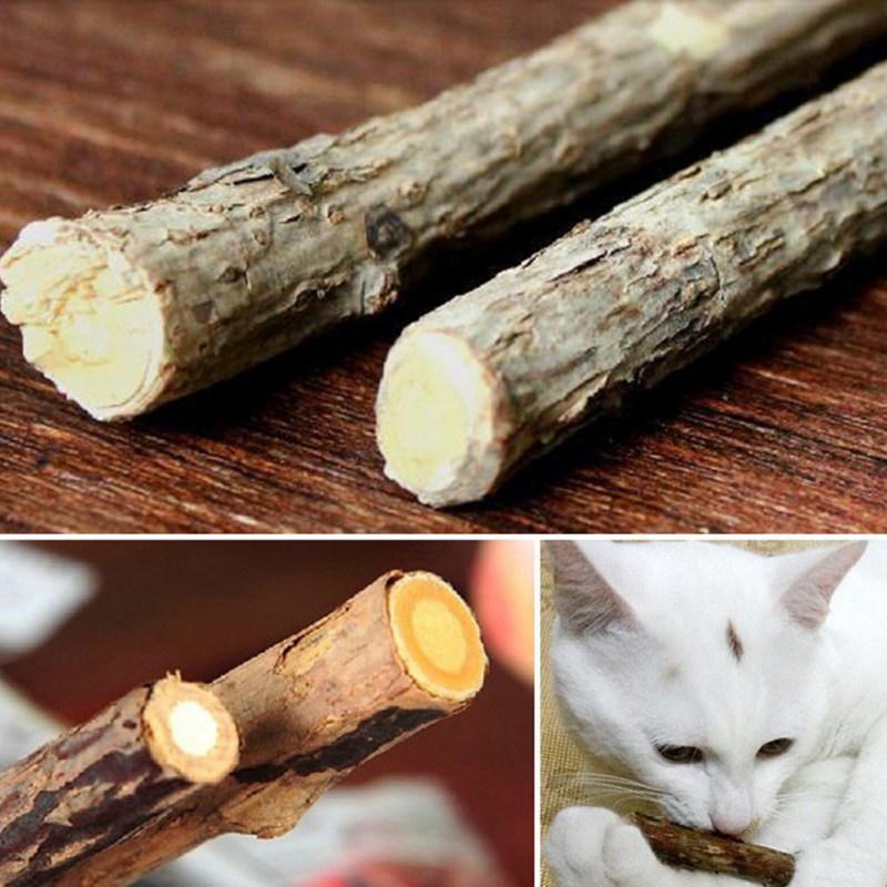 Зубная паста для кошек