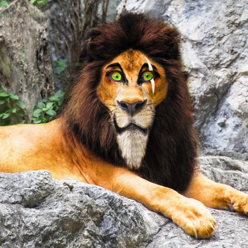 Коричневый Лев
