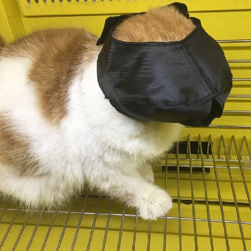 Фиксатор для мытья кошек