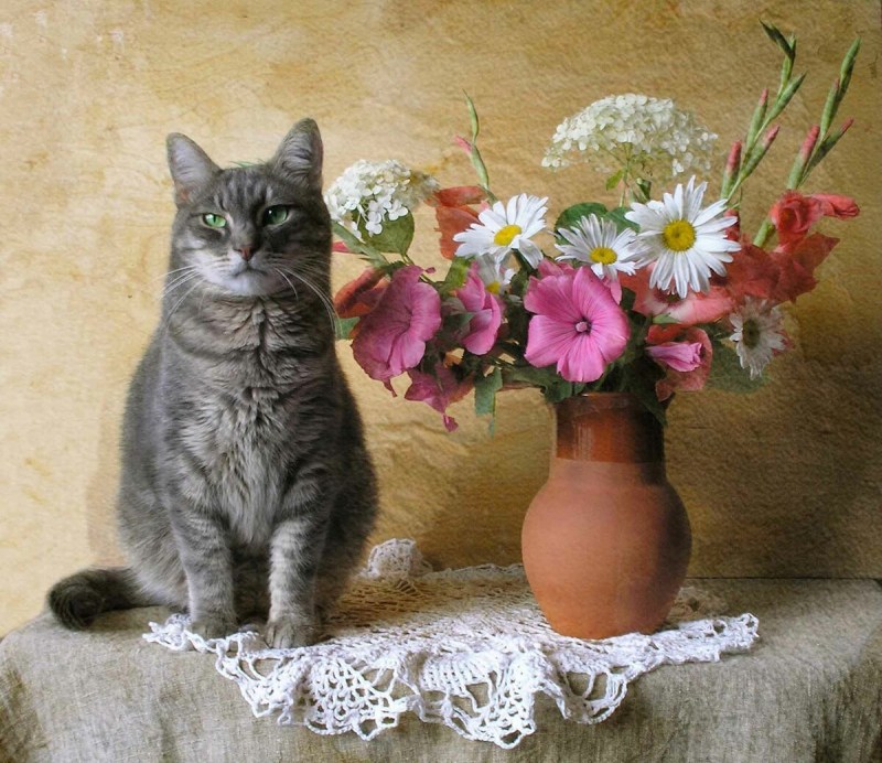 Кошка с букетом цветов
