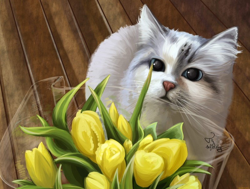 Кот с тюльпанами