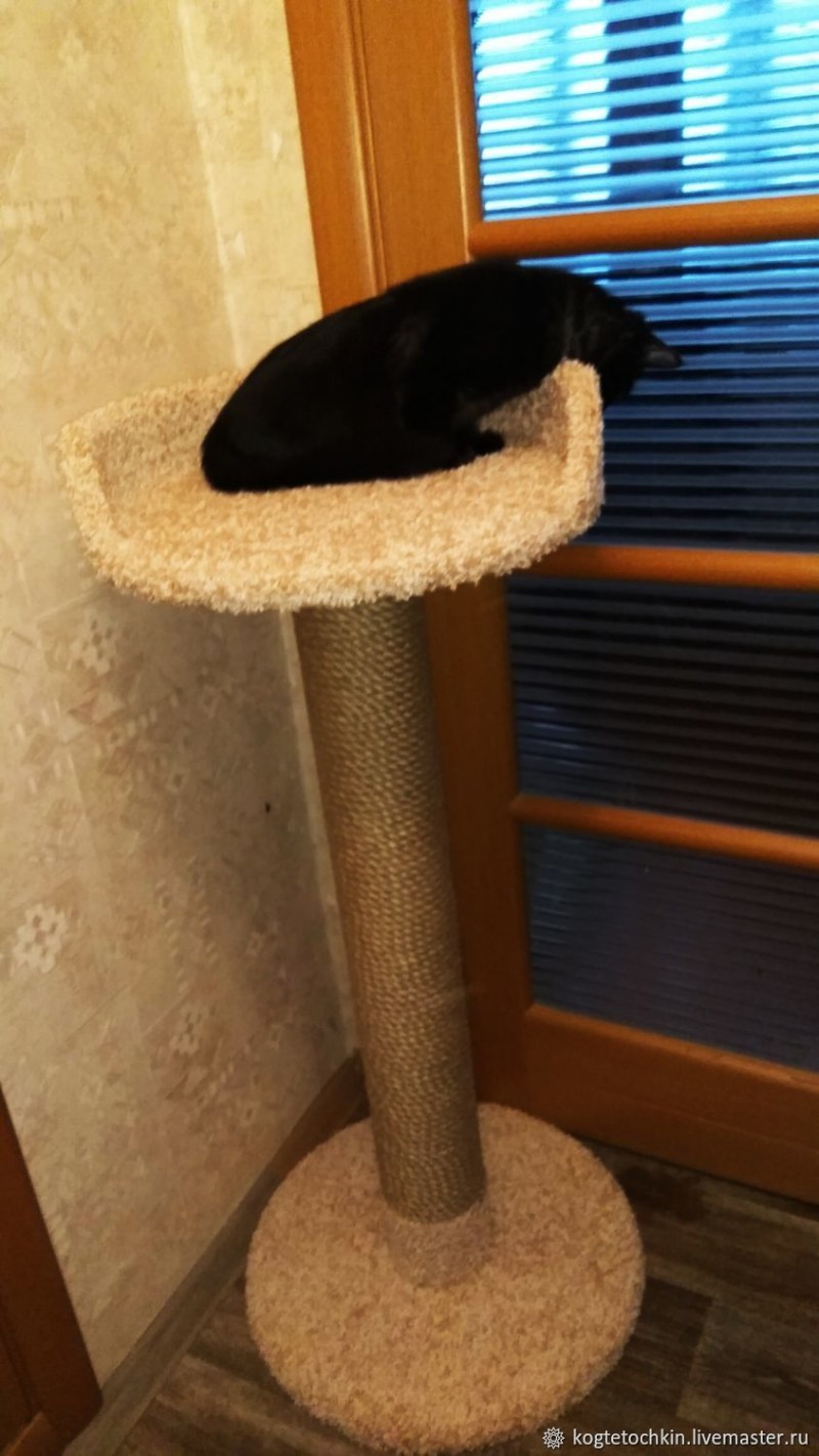 Кошачий домик настенный