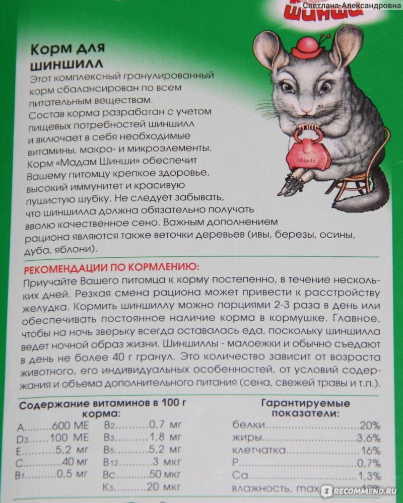 Переедание британских котят