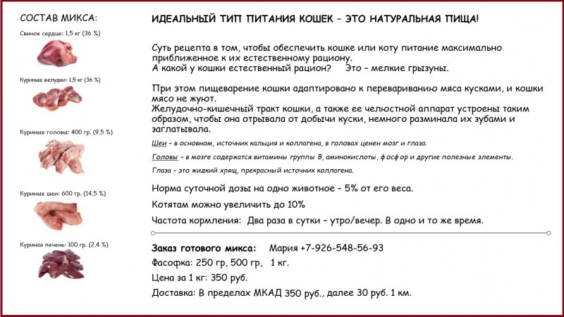 Натуральная еда для кошек