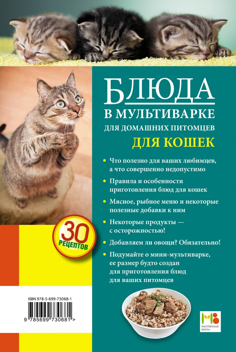 Типы кормления кошек