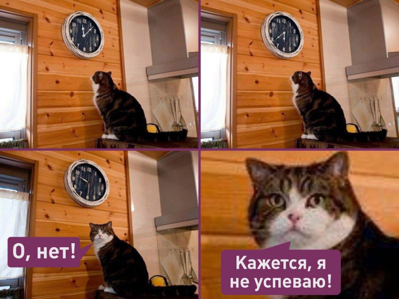Мем с котом и часами