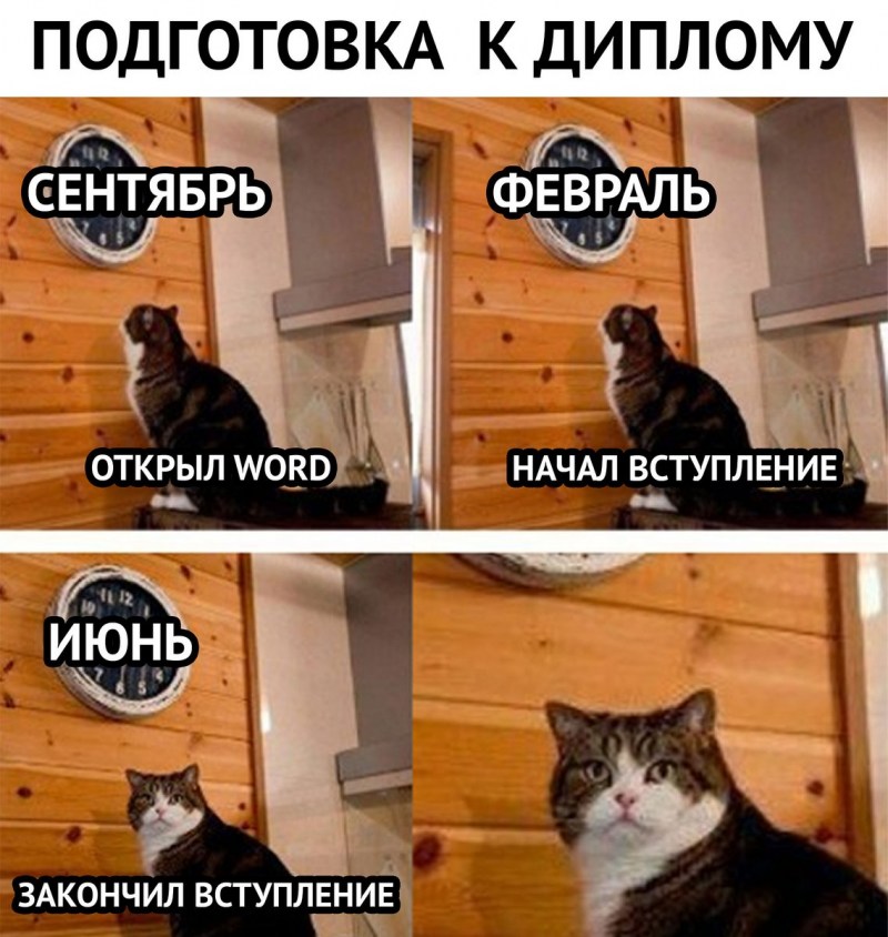 Кот пора Мем оригинал