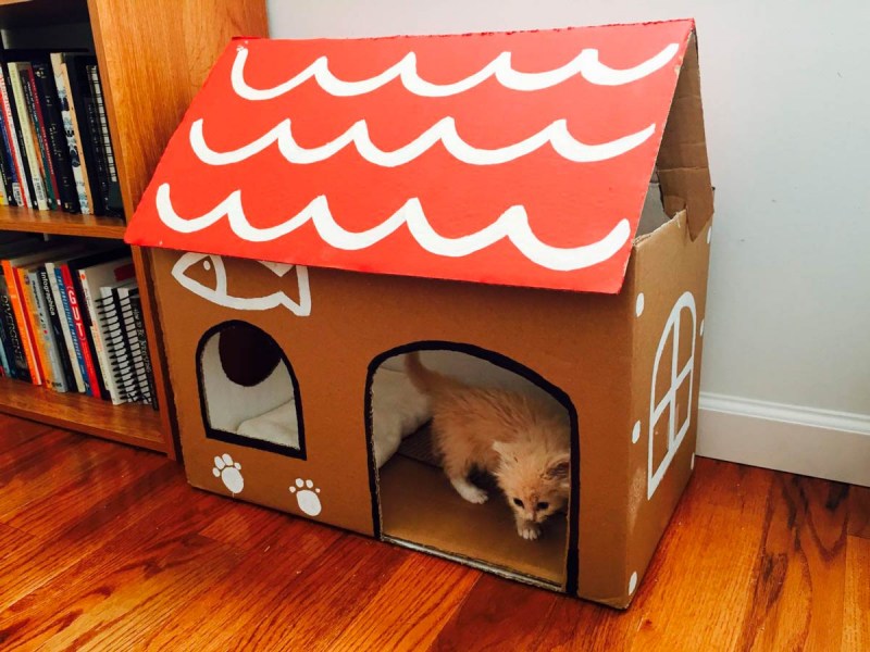 Домик для котёнка из коробки