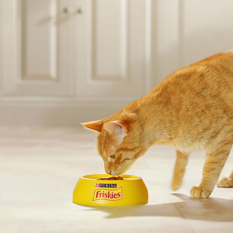 Корм для кошек friskies с говядиной 85 г