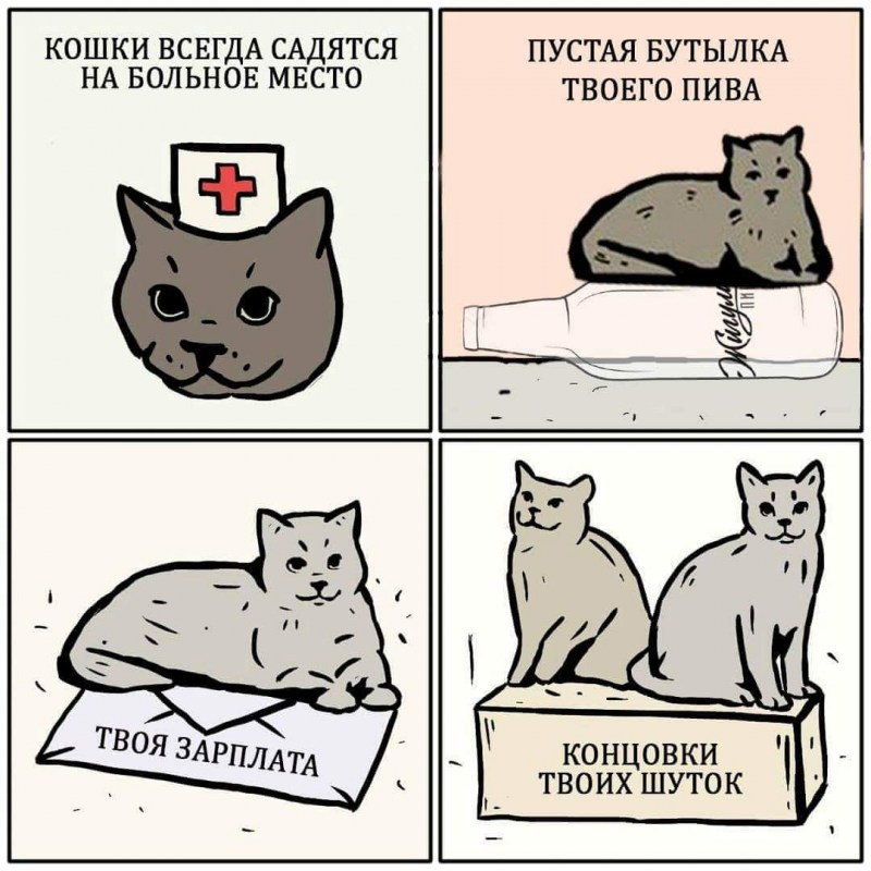 Держи хвост пистолетом белка