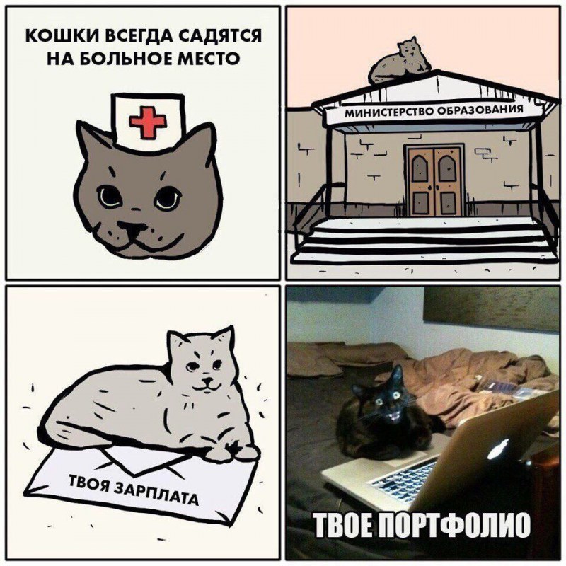 Кот на стуле