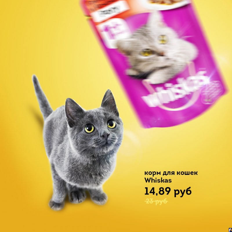 Purina Gourmet Cat