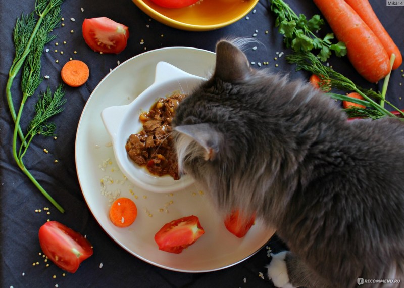 Паштет Purina Gourmet Gold с курицей 85гр