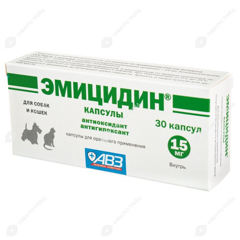 Прививка в холку кошке