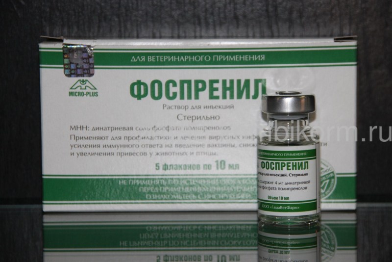 Иммуностимулятор фоспренил