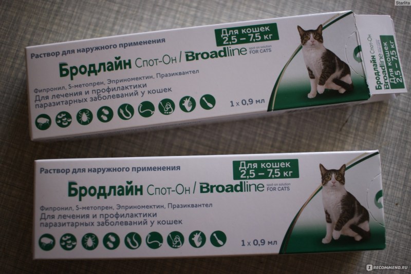 Nn-df383bzpe (инверторная)