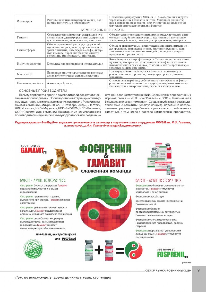 Исследование кошки
