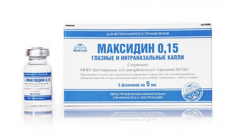 Вакцинация котят