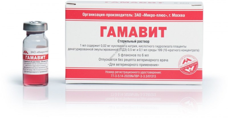Кошка прививается у ветеринара