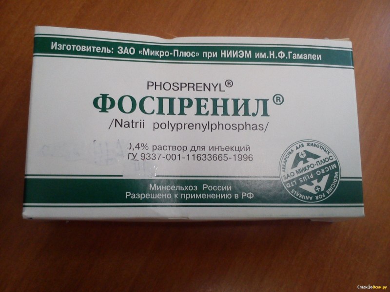 Иммуностимулятор фоспренил