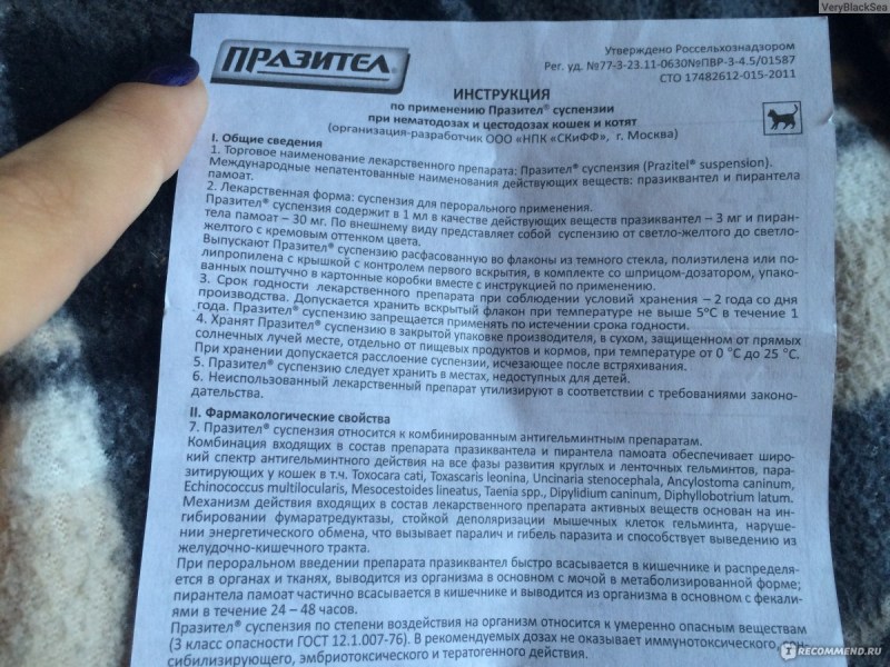 Укол кошка черно белый