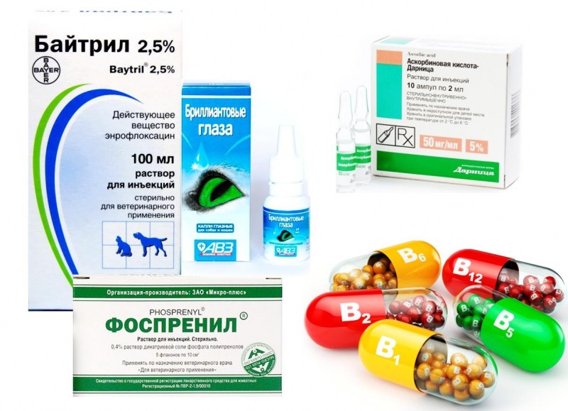 Отоферонол Голд-ушные капли, 10мл.
