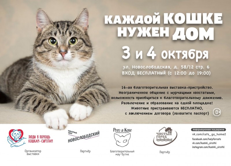 Гамавит для собак
