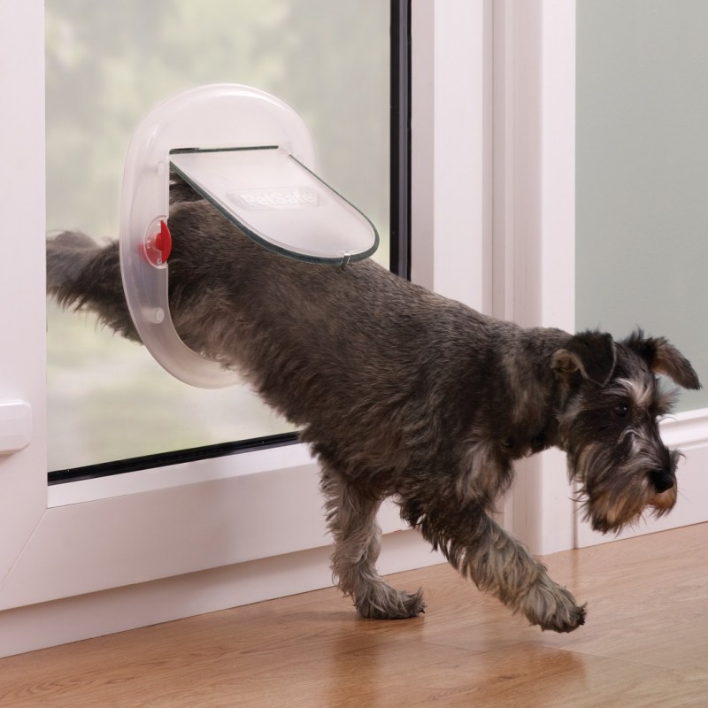 Дверца для кошки petsafe