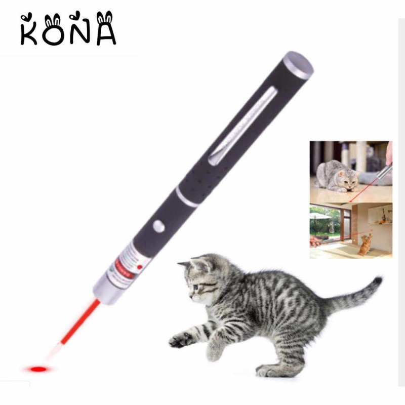 Лазерная указка для кота